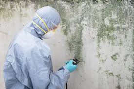  Gatlinburg, TN Mold Removal Pros